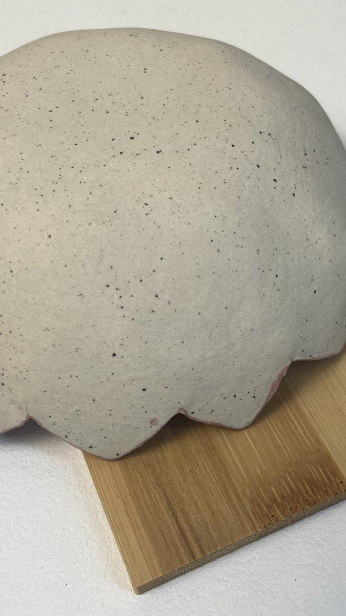arrière beige de la petite coupelle